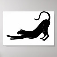 Gato estendido