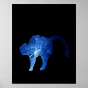 Poster Gato estrelado de tiro azul