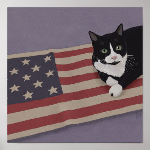 Poster Gato EUA