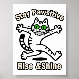 Poster Gato Fique Positivo