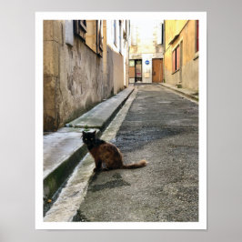 Poster Gato Francês