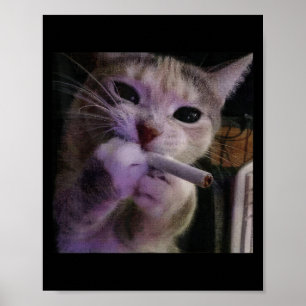 Poster Gato Fumante Engraçado, Gatinho de Cigarro, Meme Z