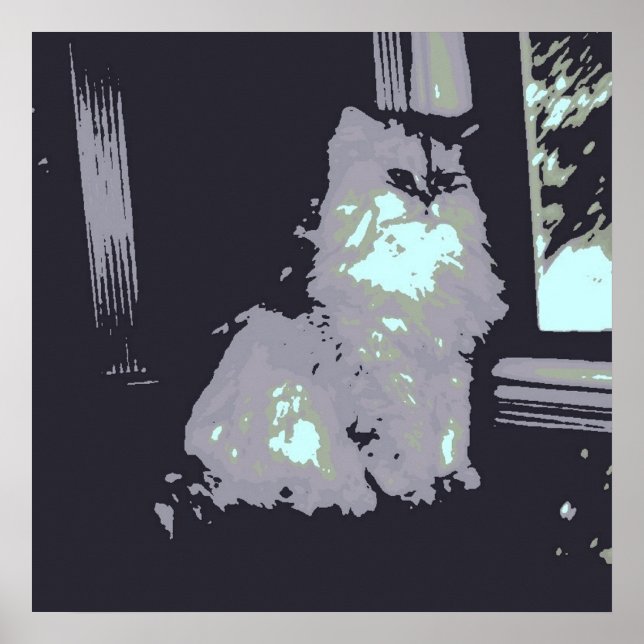 Poster Gato Gatinho de Cinza de cabelos longos (Frente)