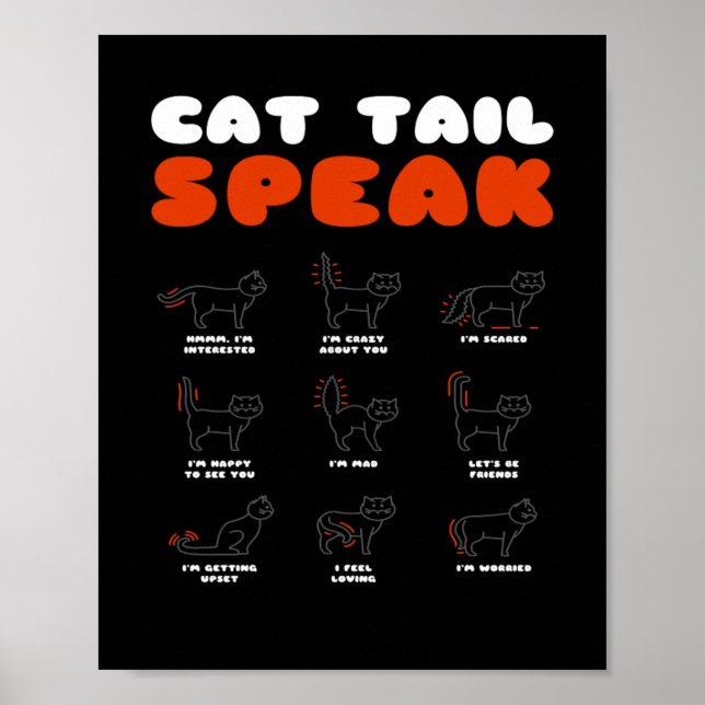 Poster Gato Gato Falante Gato Gato Gato Gato Gatinho Bato (Frente)