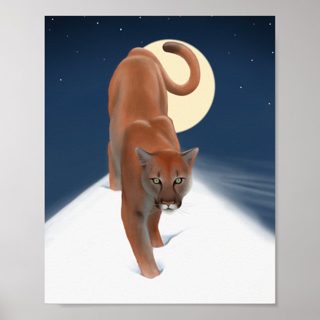 Poster Gato Grande Na Neve De Inverno - Leão De Montanha (Frente)
