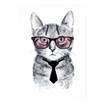 Gato Inteligente do Panka