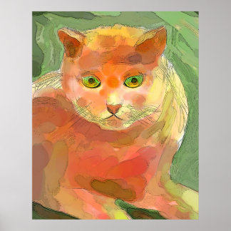 Poster Gato Laranja