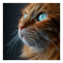 Gato Laranja Tabby Ginger Estilo Vintage Retrato W