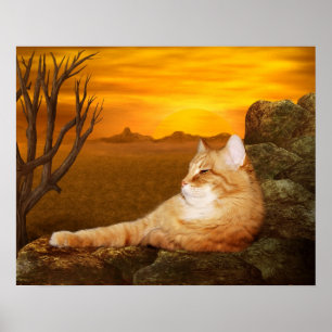 Poster Gato Lazing