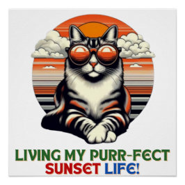 Pôster Gato Legal Sunset