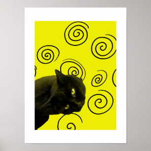 Poster Gato Louco