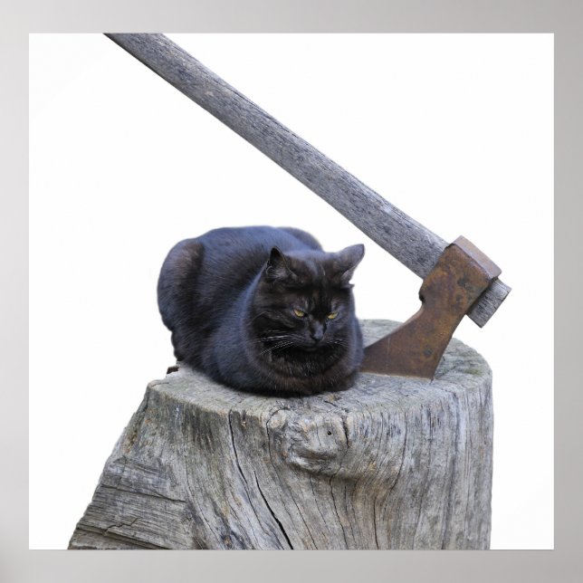 Pôster gato, machado e vida (Frente)
