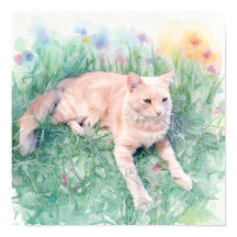 Gato Malhado