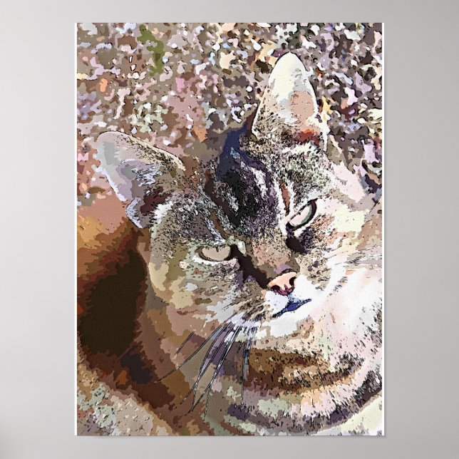POSTER GATO MALHADO (Frente)