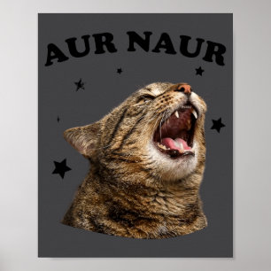 Poster Gato Meme Divertido Aur Naur Cat