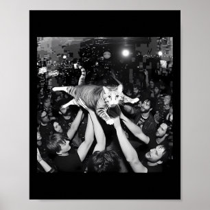 Poster Gato Meme Show de Rock Divertido Gatinho Tabby Fof