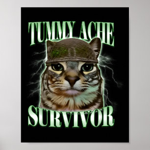 Poster Gato Meme Sobrevivente de Dor de Barriga Engraçado