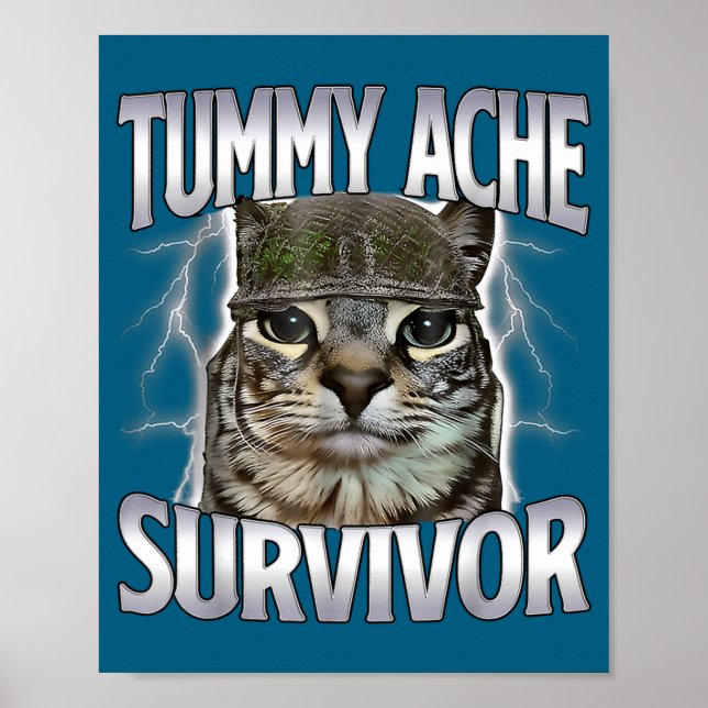 Poster Gato Meme Sobrevivente de Dor de Barriga Engraçado (Frente)