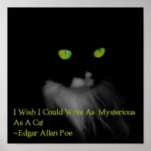 Poster Gato Misterioso