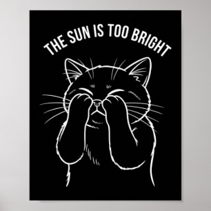 Poster Gato Muito Brilhante