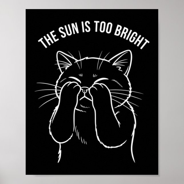Poster Gato Muito Brilhante (Frente)