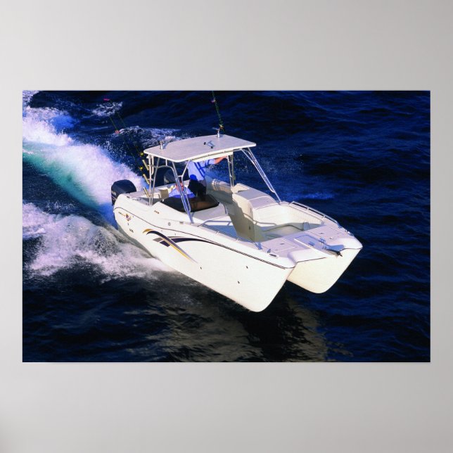 Pôster Gato Mundial 270SD (Frente)