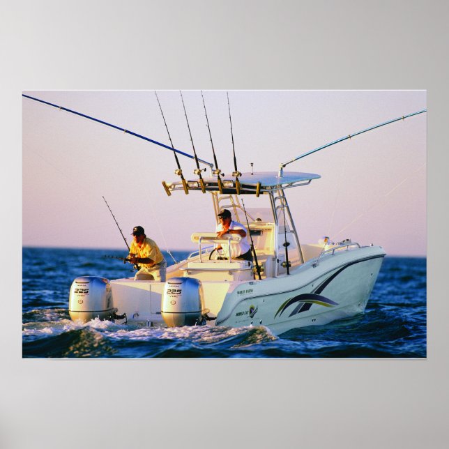 Pôster Gato Mundial 270TE (Frente)