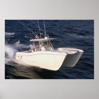 Pôster Gato Mundial 330TE