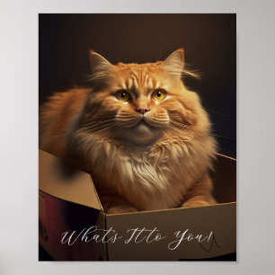 Poster Gato Na Caixa Do Calçado - Gato Sarcástico