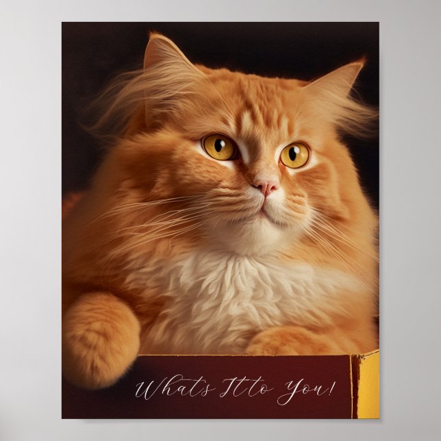 Poster Gato Na Caixa Do Calçado - Gato Sarcástico (Frente)
