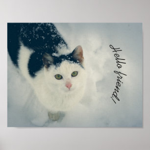 Poster Gato na neve