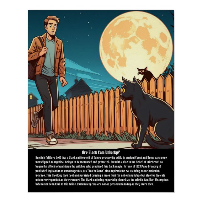 Pôster Gato Negro (Frente)