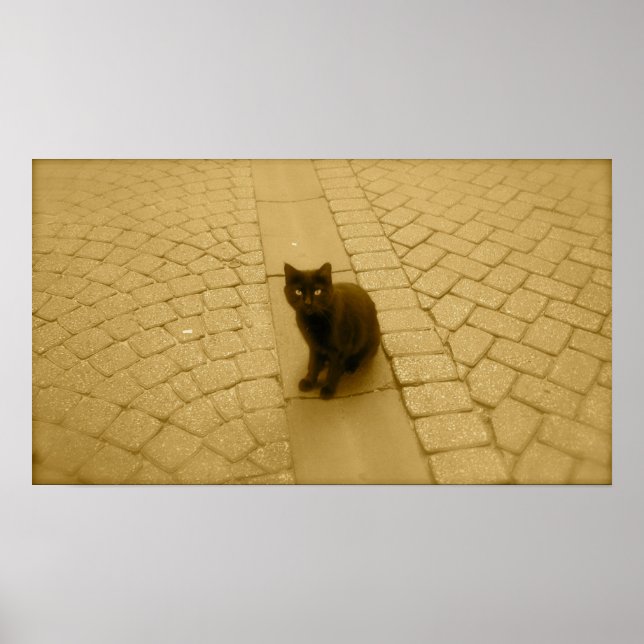 Pôster Gato Negro Na Sepia (Frente)