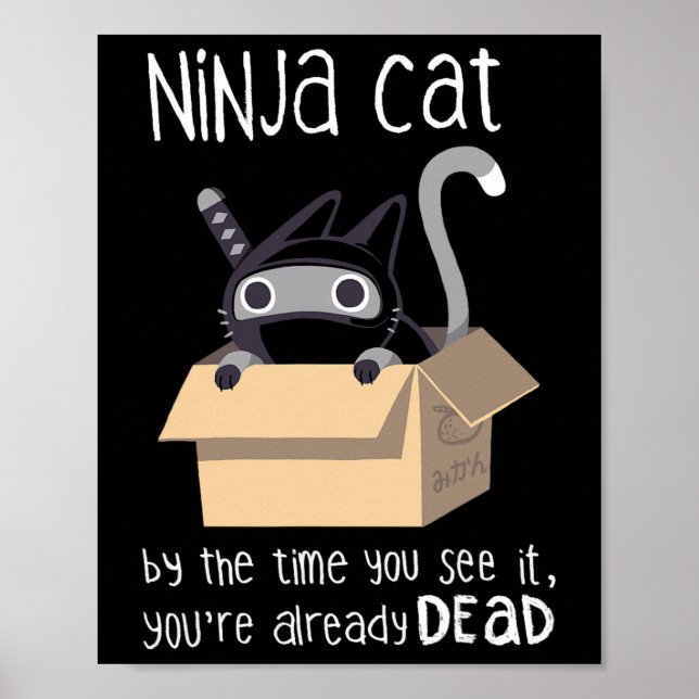Poster Gato Ninja (Frente)