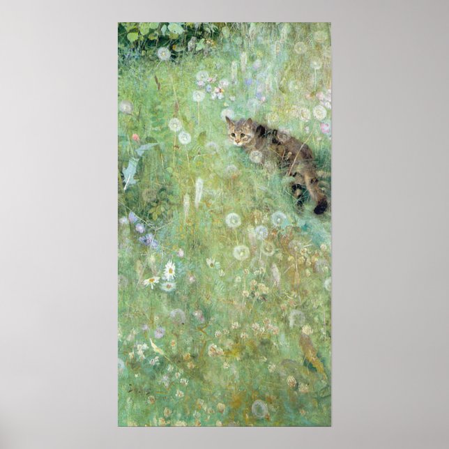 Pôster Gato no Verão, Bruno Liljefors (Frente)