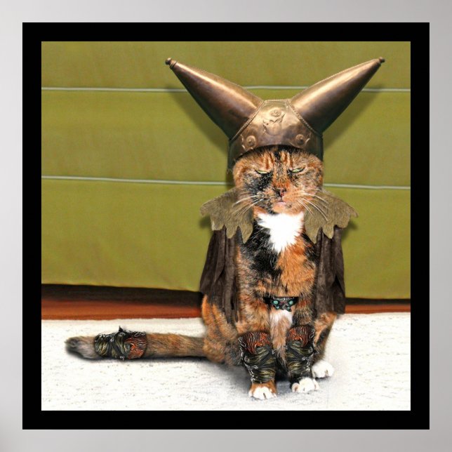 Pôster Gato Nórdico Não é Amusado (Frente)