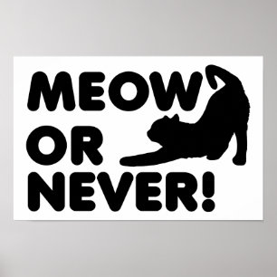 Poster Gato ou Nunca Cartaz Divertido