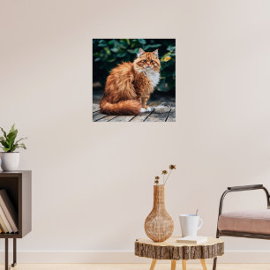 Poster Gato Persa Laranja