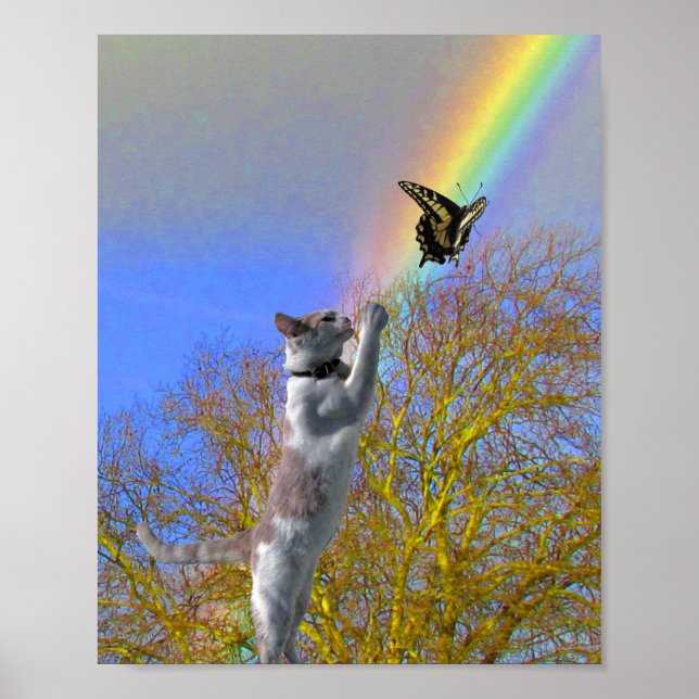Poster - Gato Perseguindo Borboleta (Frente)