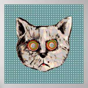Poster gato, pontos e olhos dos diamantes