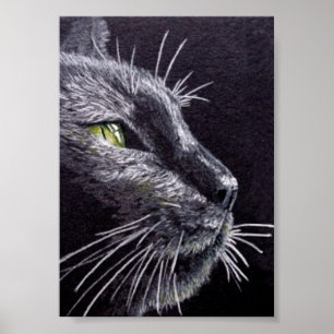 Pôster Gato preto