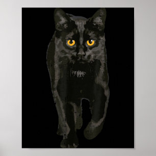 Poster Gato Preto Andando Gatinho Gata Halloween e Homens