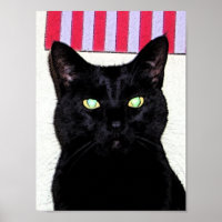 Gato Preto / Azul Branco Vermelho