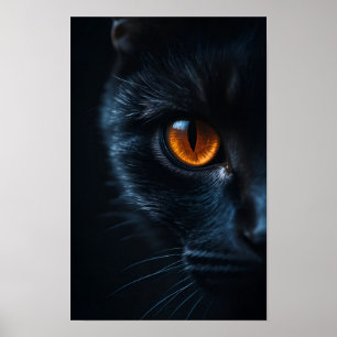 Poster Gato Preto com Olho Âmbar