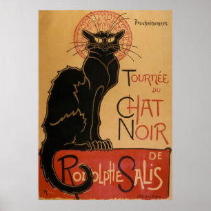 Pôster Gato preto do ~ Noir do bate-papo