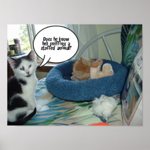 Pôster Gato Preto e Branco