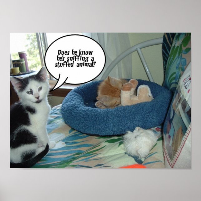 Pôster Gato Preto e Branco (Frente)