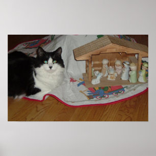 Pôster Gato preto e branco de Natal