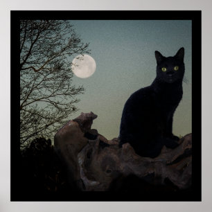 Poster Gato Preto em Árvore em Frente a Lua Completa