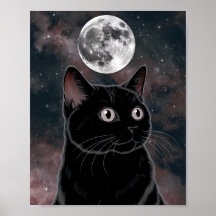 Gato Preto Gótico, Gato Preto da Hora da Bruxa
